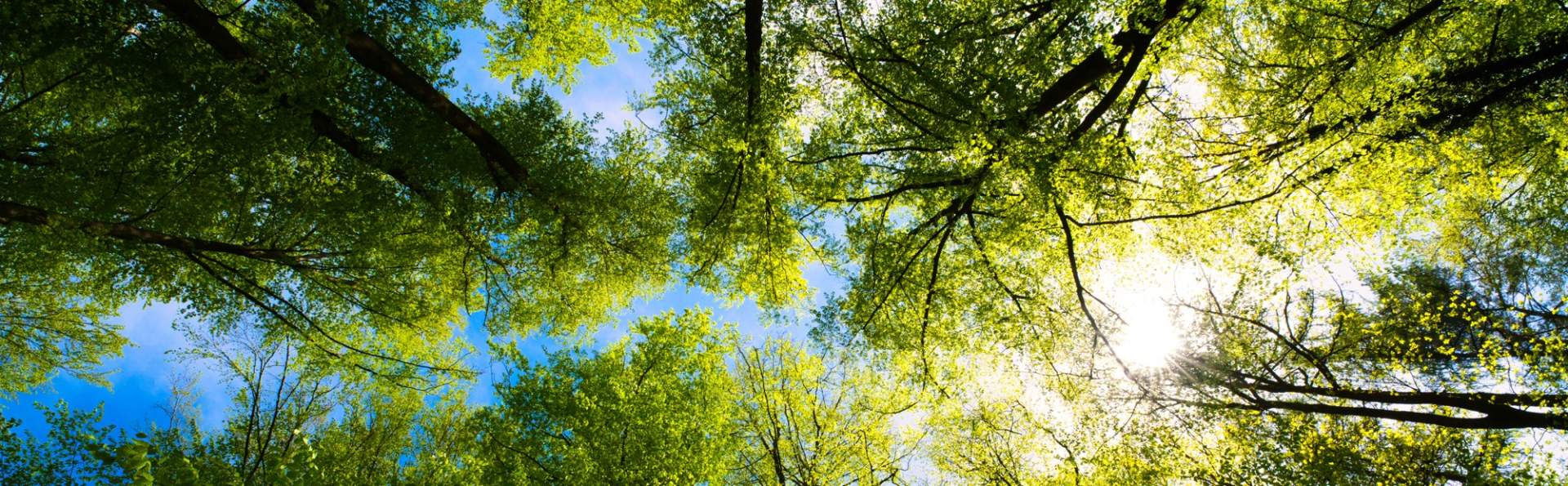 Our Climate Pledge banner